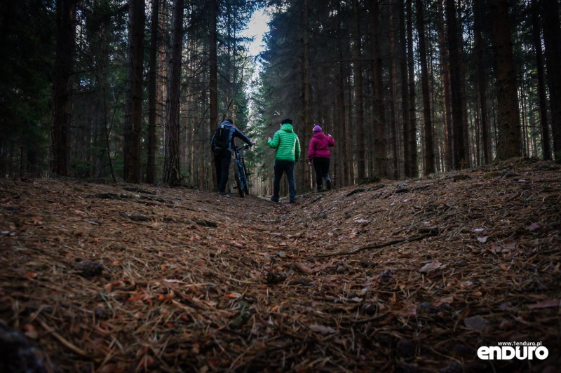 Suliwoods - trasy rowerowe Ślęża - Polakpotrafi