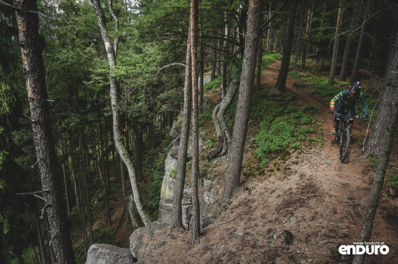 Trutnov Trails - Modrinovy Trail skały
