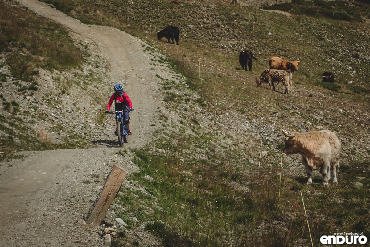 Livigno - Bikepark Carosello 3000