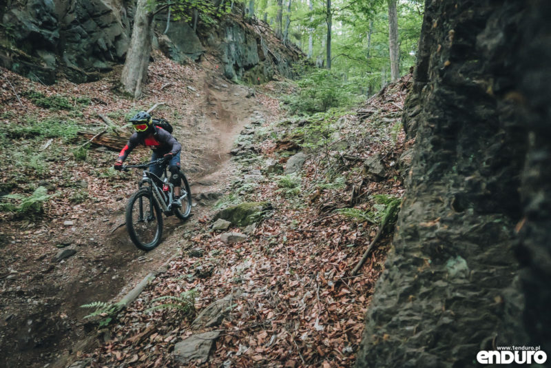 Test Shimano STEPS E8000 - e-bike Romet ERE 501