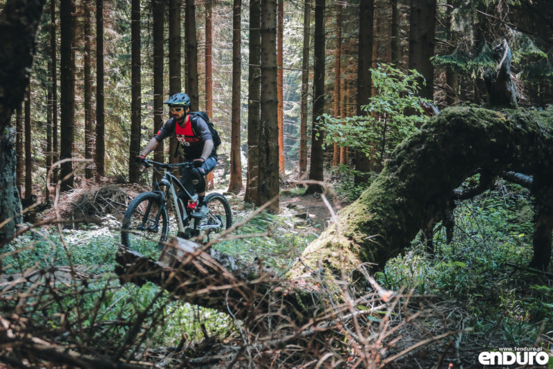 Test Shimano STEPS E8000 - e-bike Romet ERE 501