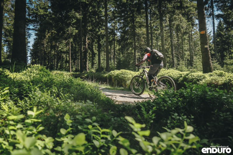 Test Shimano STEPS E8000 - e-bike Romet ERE 501