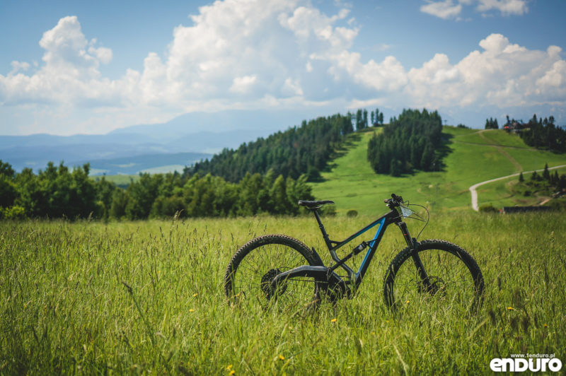 Marin Wolf Ridge 8 2018 - test recenzja