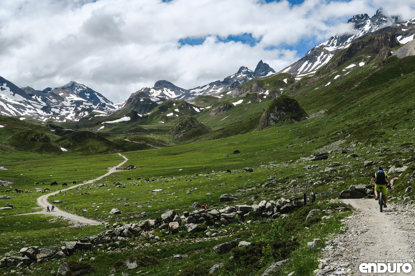 transalp-205.jpg