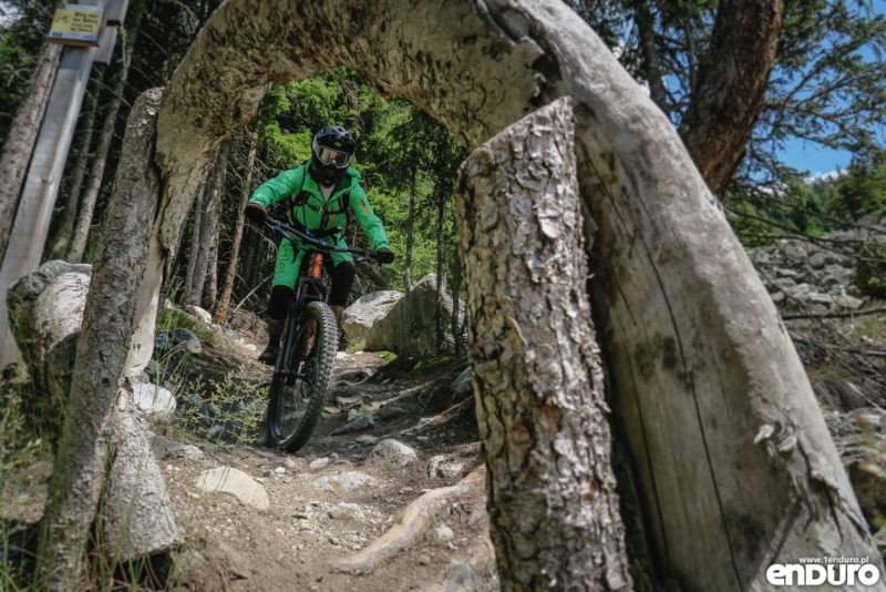 Test Canyon Torque AL 5.0 2018
