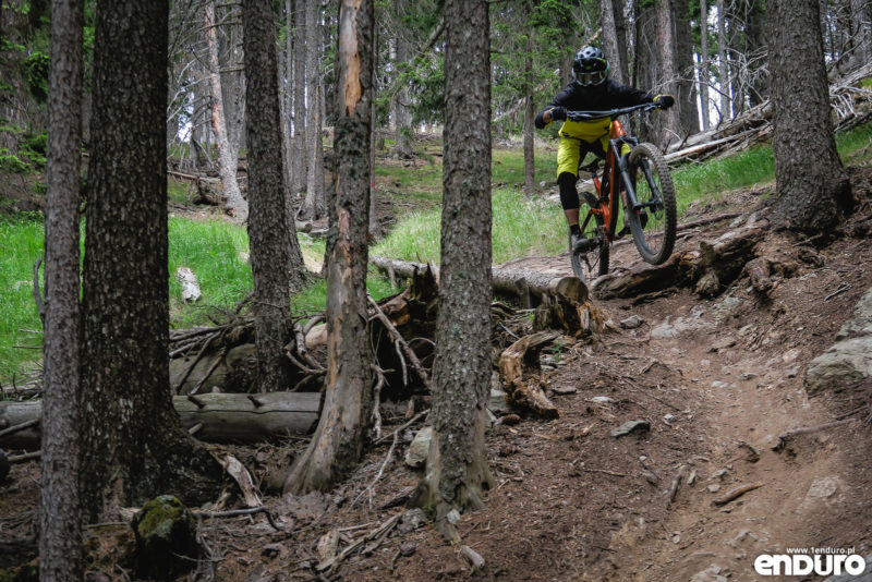 Test Canyon Torque AL 5.0 2018