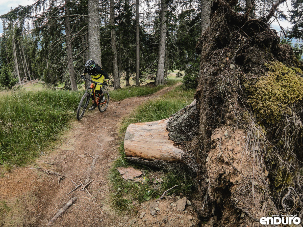 Test Canyon Torque AL 5.0 2018