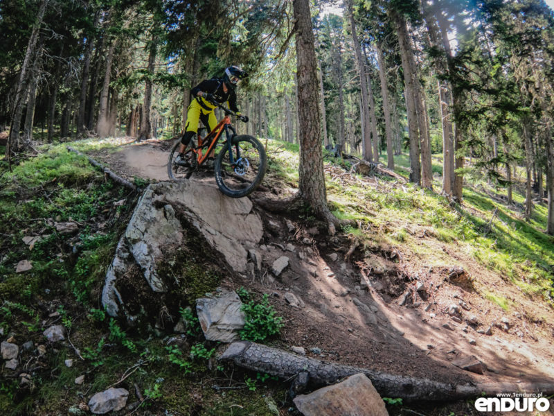 Test Canyon Torque AL 5.0 2018