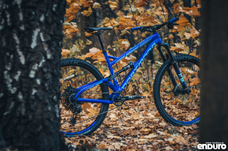 Dartmoor Bluebird Pro 29 2019