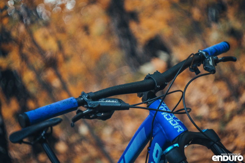 Dartmoor Bluebird Pro 29 2019