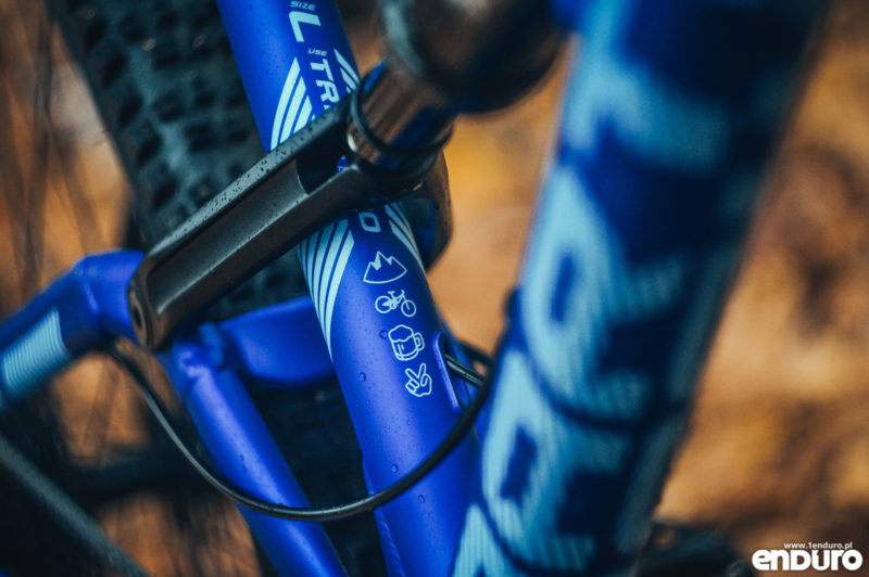 Dartmoor Bluebird Pro 29 2019