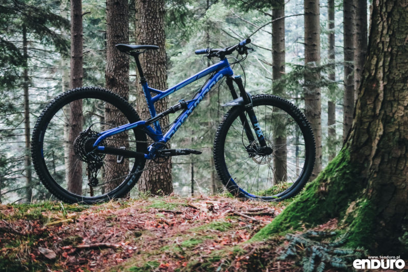 Test Dartmoor Bluebird Pro 29 vs 27,5 2019