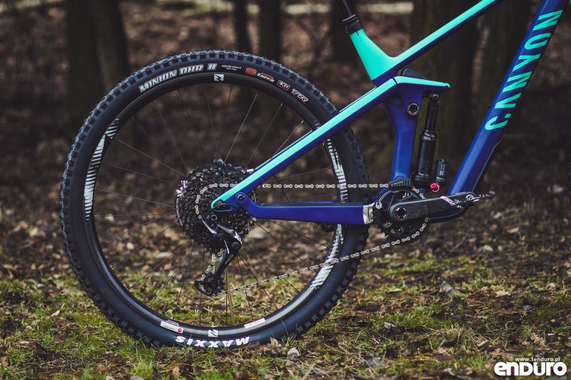 Canyon Strive CF 8.0 2019 - bikeporn