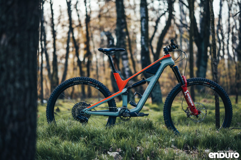 Canyon Spectral 1Enduro custom 2019