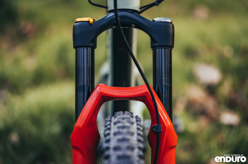 Canyon Spectral 1Enduro custom 2019