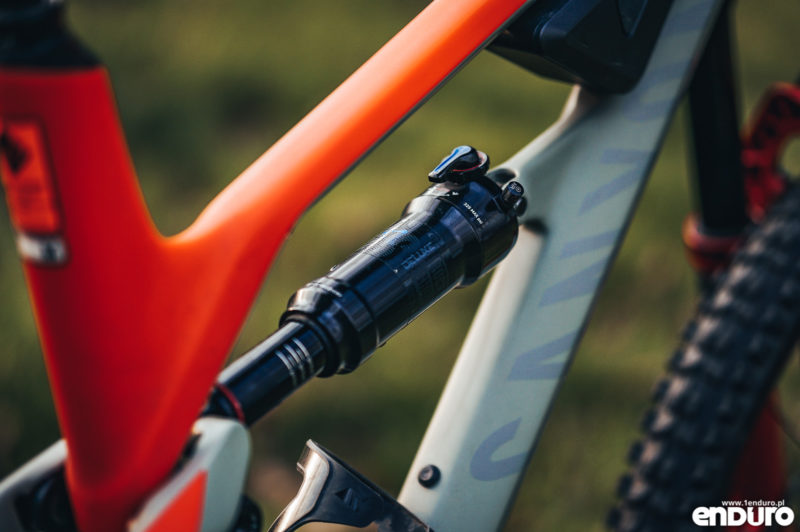 Canyon Spectral 1Enduro custom 2019