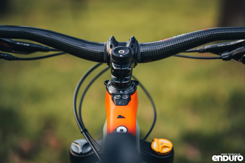 Canyon Spectral 1Enduro custom 2019