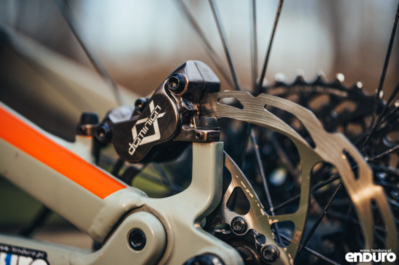Canyon Spectral 1Enduro custom 2019