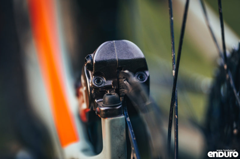Canyon Spectral 1Enduro custom 2019
