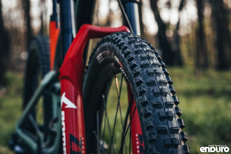 Canyon Spectral 1Enduro custom 2019