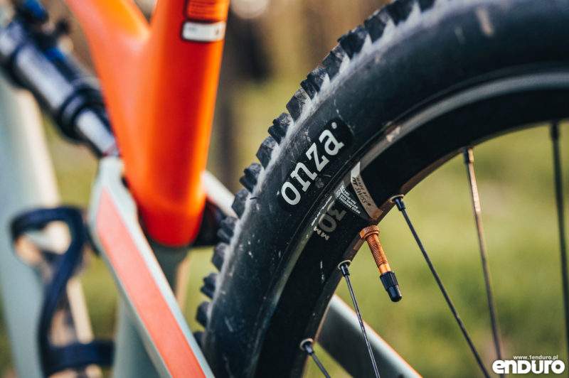 Canyon Spectral 1Enduro custom 2019