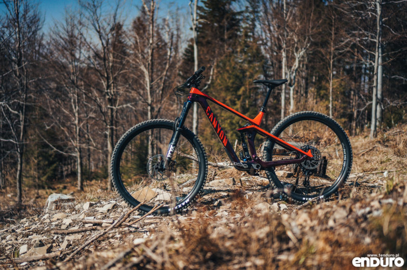 Test: Canyon Strive CF 5.0 2019