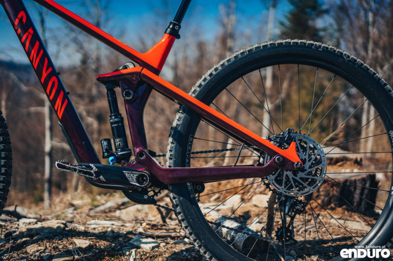 Test: Canyon Strive CF 5.0 2019