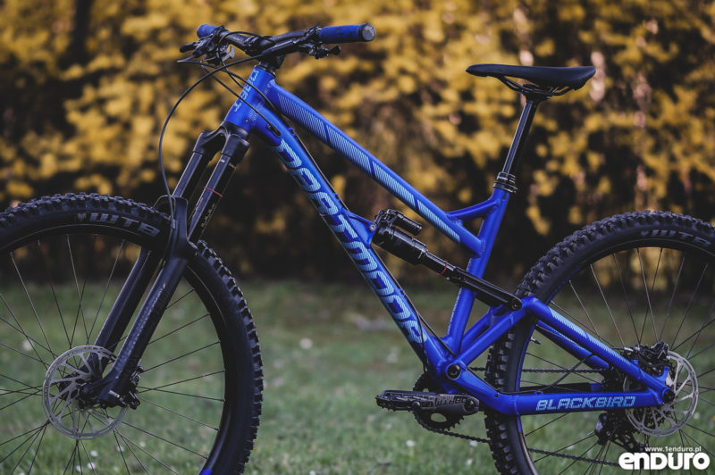 Dartmoor Blackbird Evo 29 2019 - bikeporn