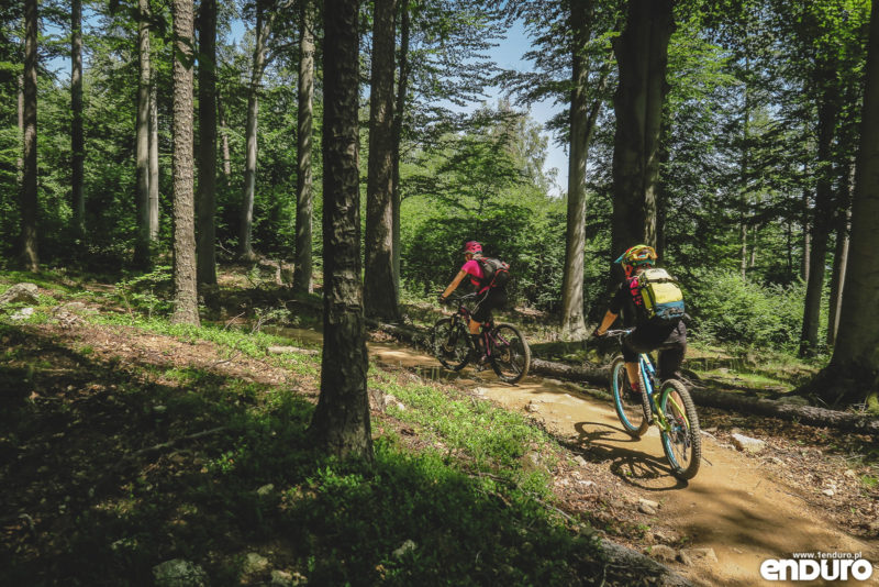 Pasmo Rowerowe Olbrzymy - Jelenia Góra