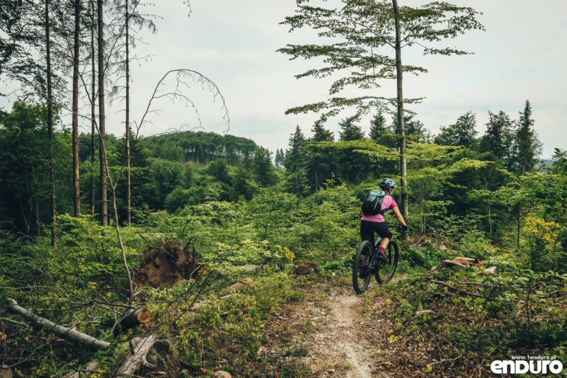 Singletrack Glacensis Kłodzko