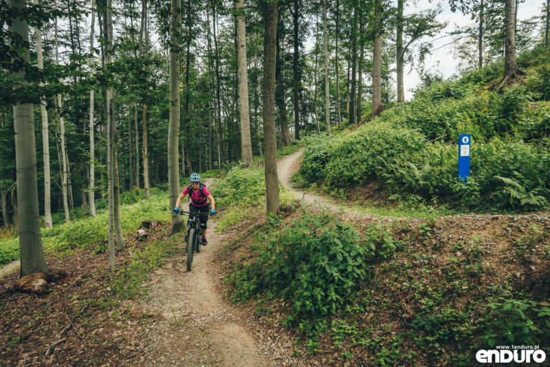 Singletrack Glacensis Kłodzko