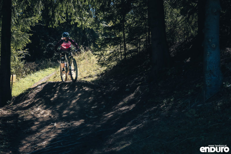 Specialized Enduro Expert Carbon 2020