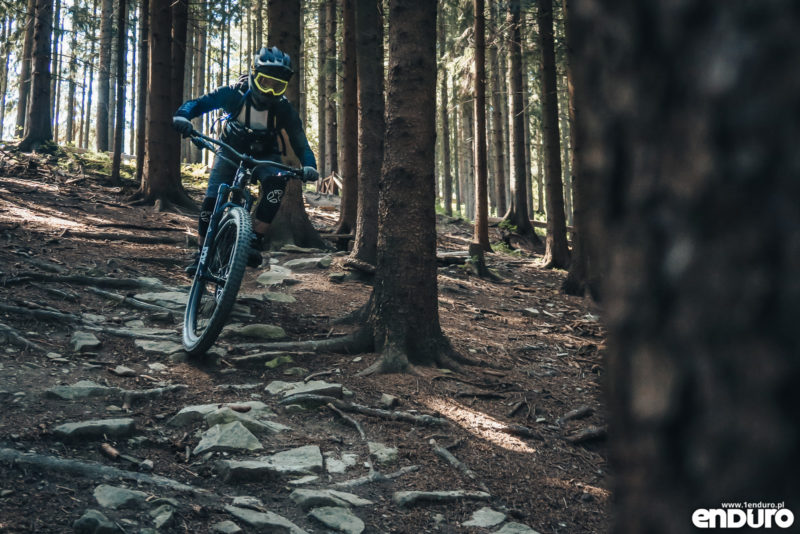 Specialized Enduro Expert Carbon 2020