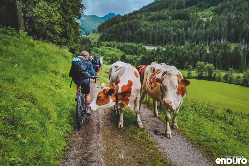 Transalp MTB Tuxerjoch Route