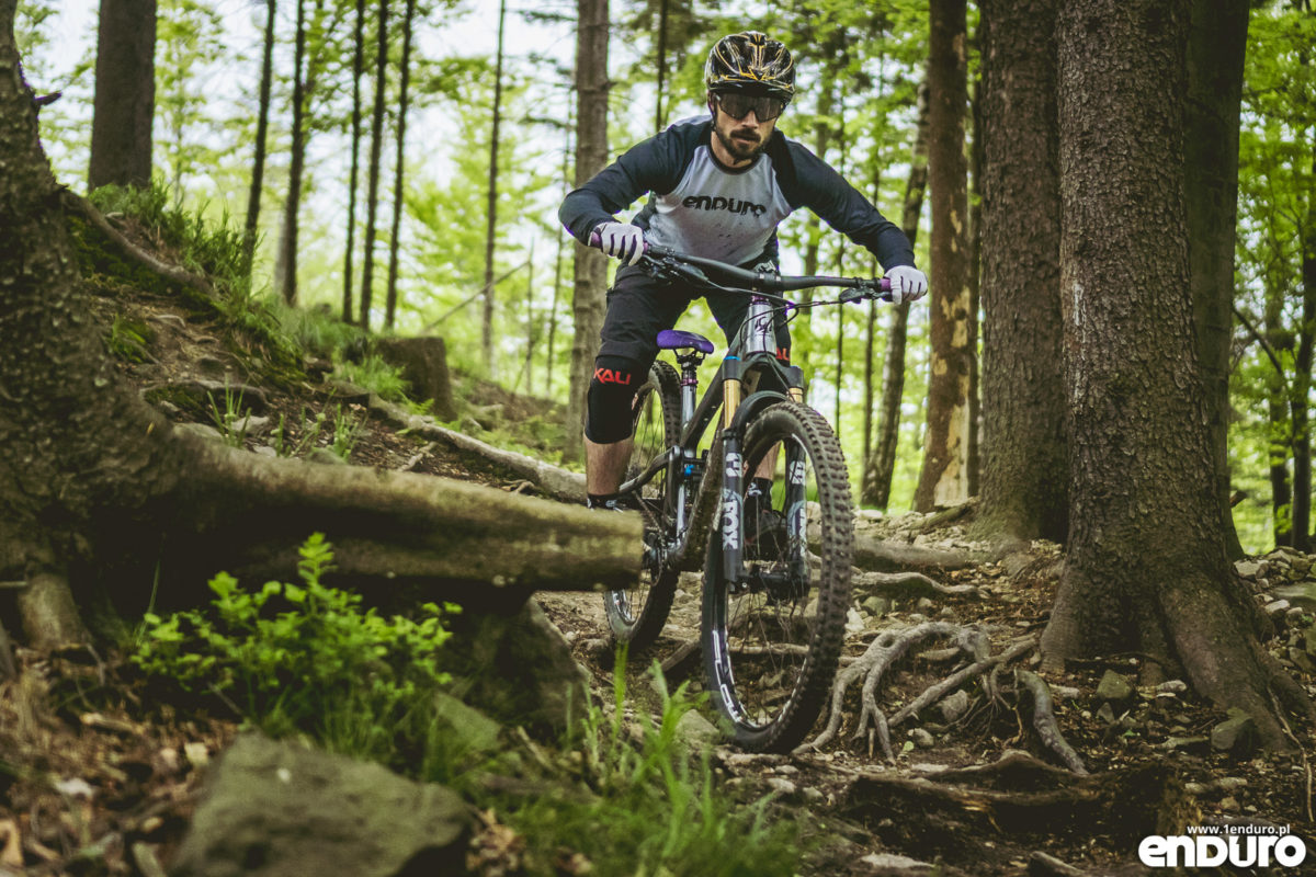 Pivot Trail 429