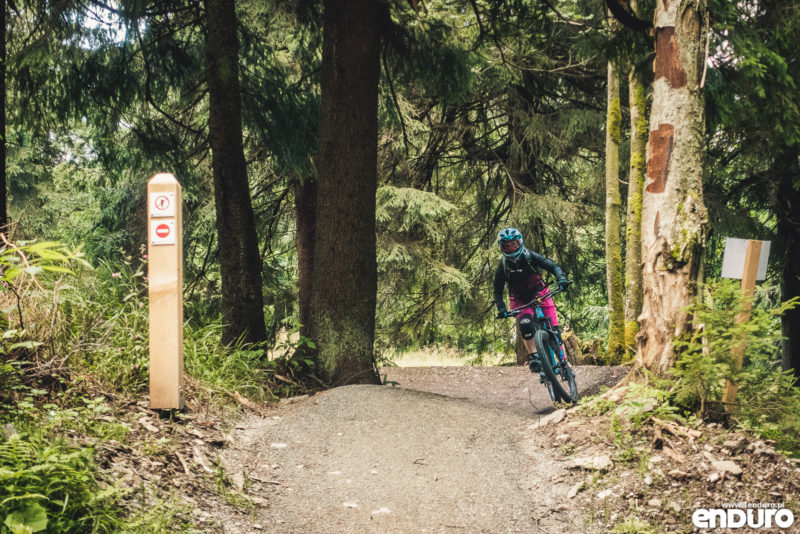 Family Bike Park Zieleniec