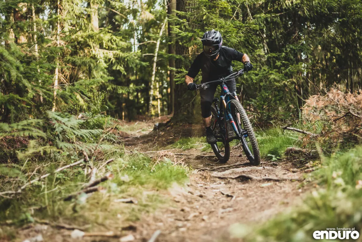 Pivot Shuttle SL
