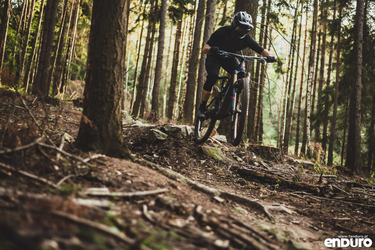 Pivot Shuttle SL