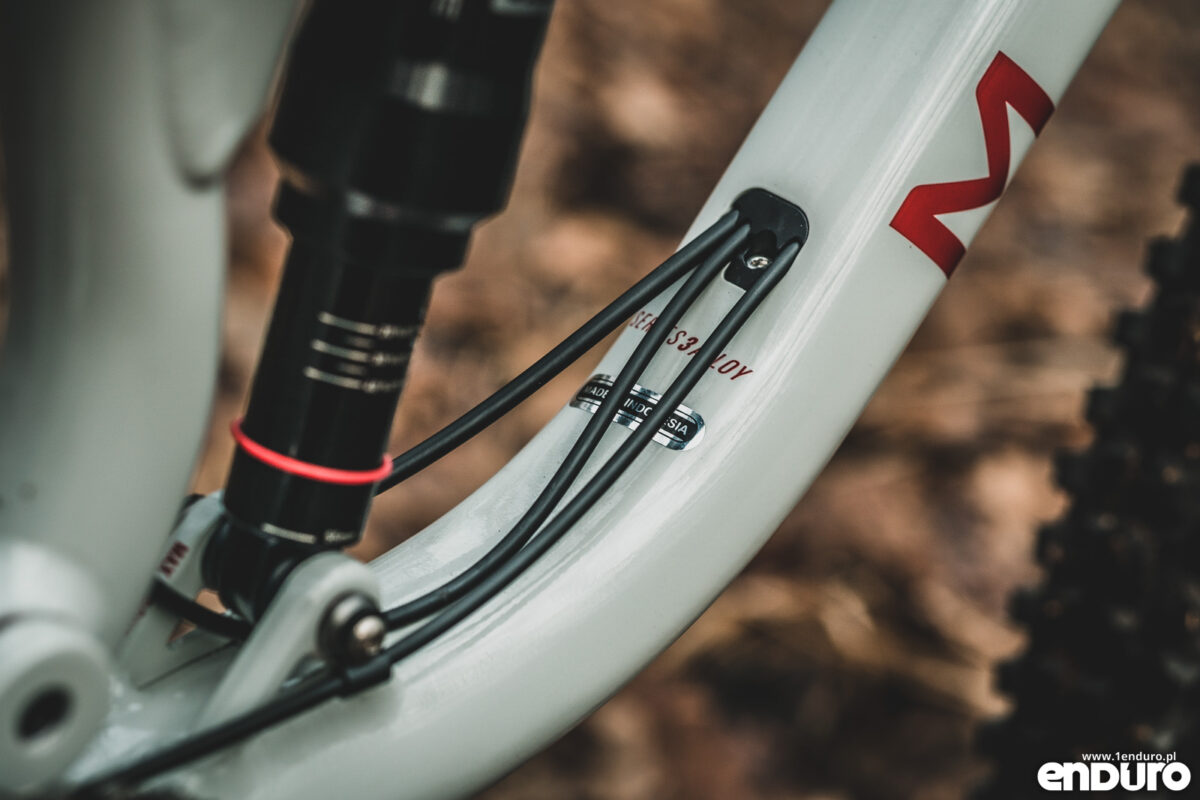 Test: Marin Rift Zone 2 29