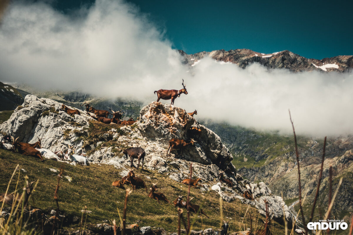 Tour du Mont Blanc - trasa enduro MTB, GPX