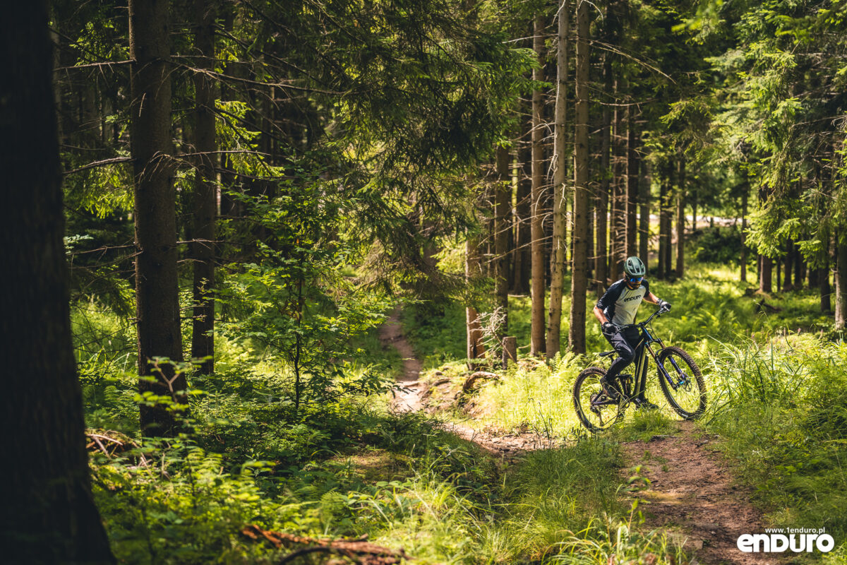 Dartmoor Rocbird Enduro Pro XT Di2 2026