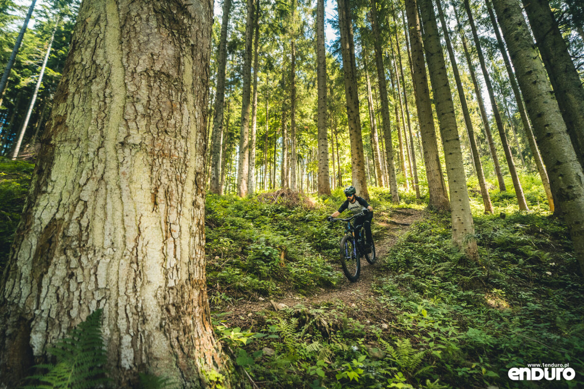 Dartmoor Rocbird Enduro Pro XT Di2 2026