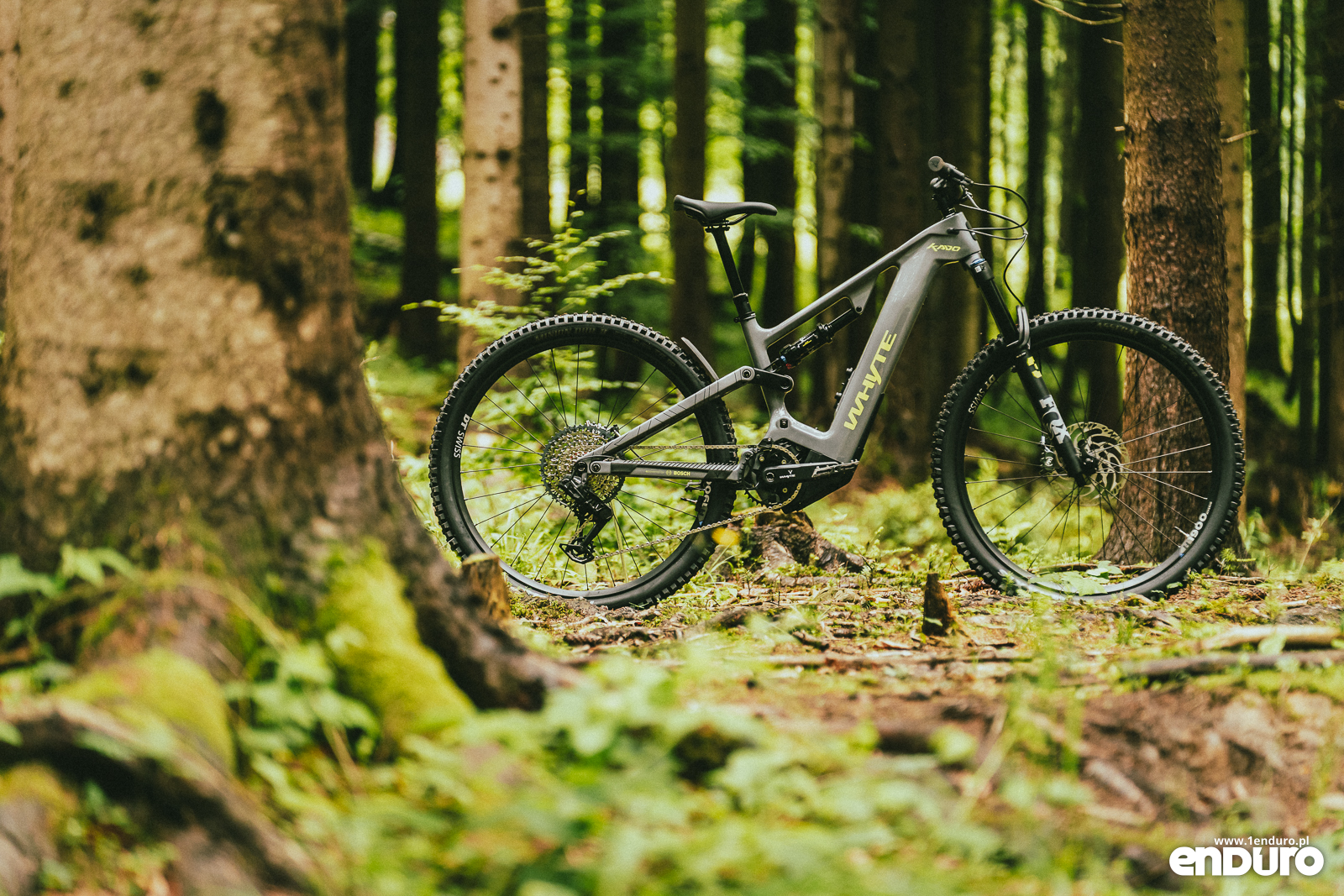 Whyte Kado RSX v2 2026 - bikeporn